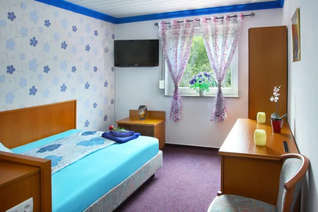 غرفة مفردة، Hotel im Rheintal 2/2