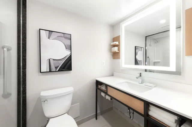 Evolution, Junior Suite, King Bed، Hilton Garden Inn Toronto Airport 3/7