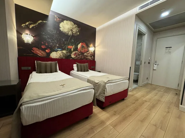 غرفة اقتصادية بسرير مزدوج أو سريرين منفصلين، The Hotel Beyaz Saray & Spa, Istanbul 3/6