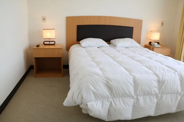 Master, Apartment, Queen and Twin Beds، Delfines Hoteles 5/10