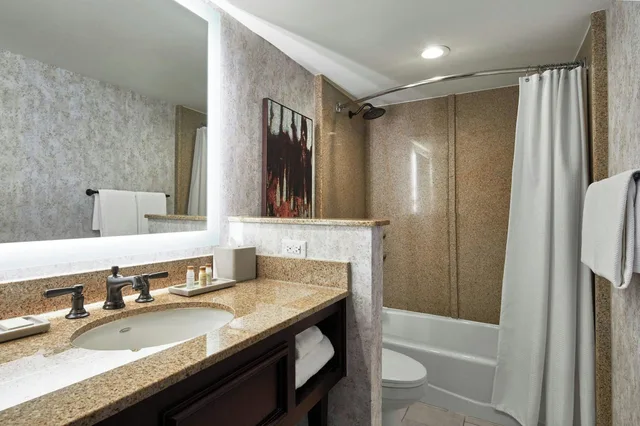 غرفة بسرير كينج، Renaissance Mobile Riverview Plaza Hotel 5/5