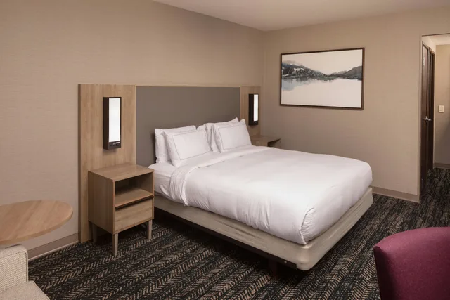 غرفة بسرير كينج مع أريكة، Hilton Asheville Biltmore Park 2/3