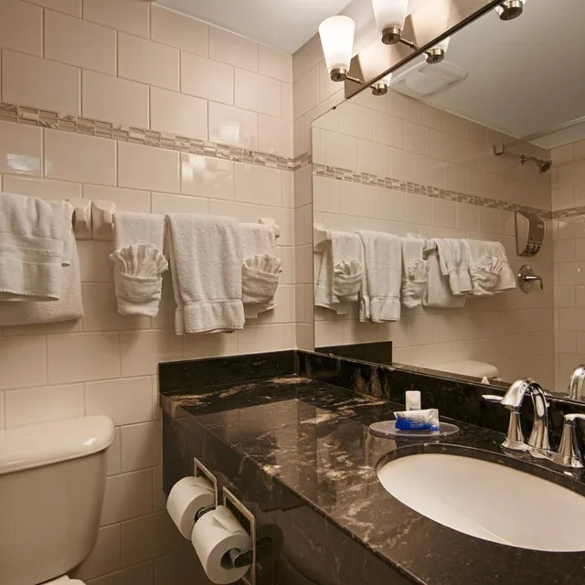 Room, Double Bed, Accessible, Best Western Brantford Hotel Conference Centre 8/10