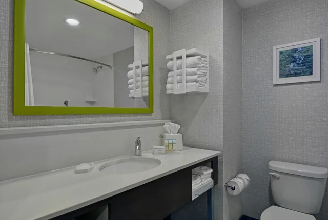 غرفة بسرير كينج، Hampton Inn Suites Macclenny I 10 2/3