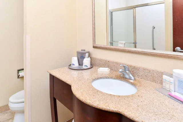 Studio, King Bed, Hampton Inn and Suites Muncie 4/5