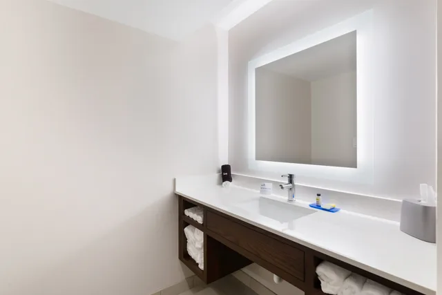 جناح بسرير كينج بغرفة نوم واحدة مع أريكة، Holiday Inn Express Naperville 2/2