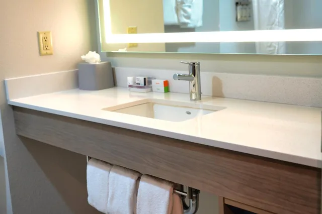 Specialty, Double Bed، Holiday Inn Express Suites Tampa Northwest Oldsmar 1/3