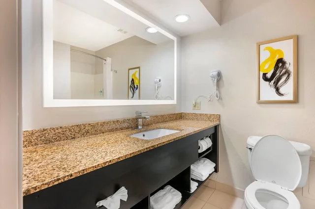 Suite, King and Queen Bed, Comfort Inn & Suites Saint Louis Lafayette Square 5/5