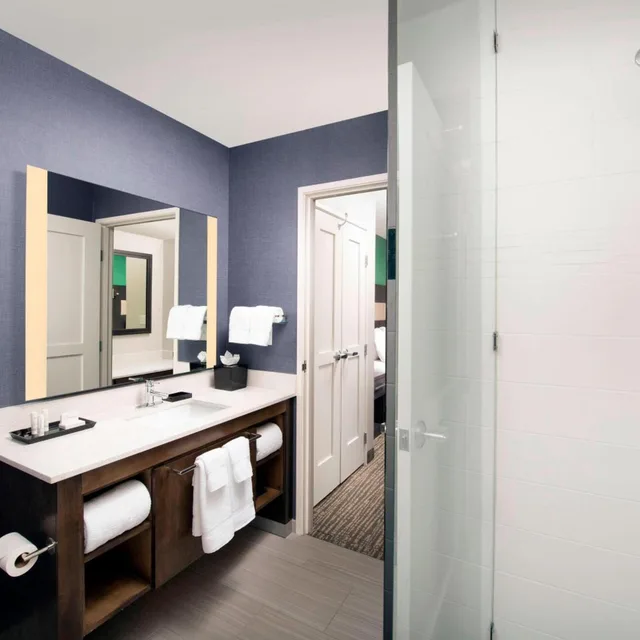 استوديو بسرير كينج مع أريكة لذوي الإعاقة، Residence Inn By Marriott New Orleans Elmwood 5/5