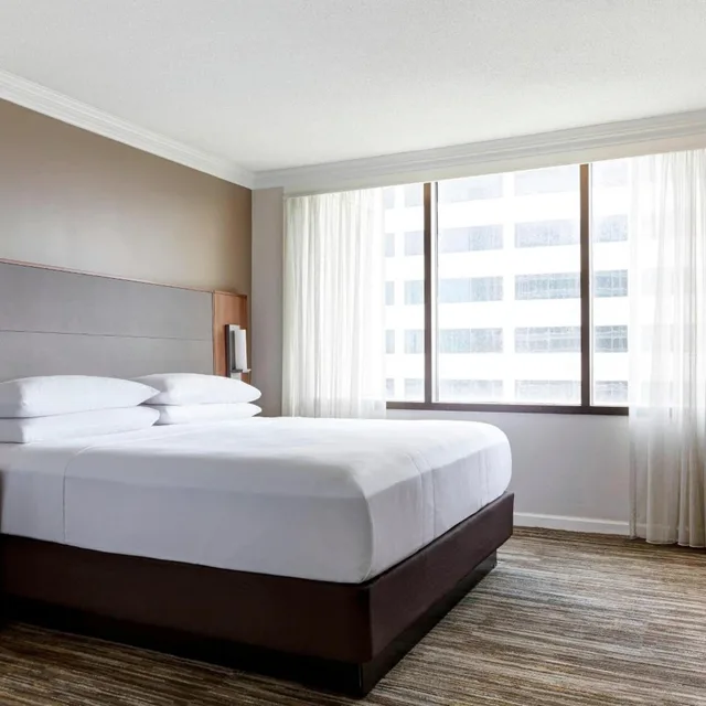 1 Bedroom, Ambassador, Suite, King Bed, Sofa، Houston Marriott Medical Center/Museum District 1/2