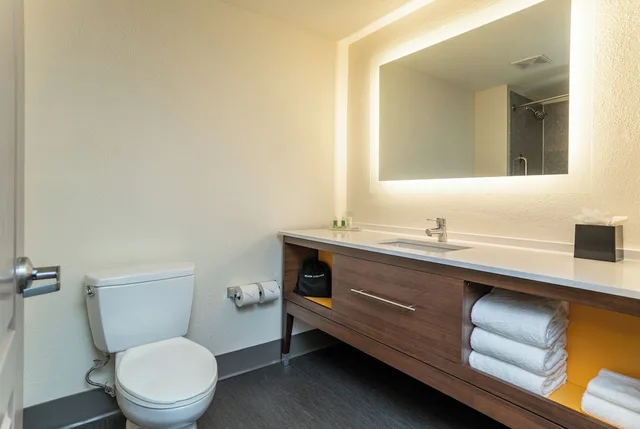 غرفة قياسية بسرير كينج بحوض جاكوزي، Holiday Inn Hotel And Suites Beaufort Highway 21 4/4