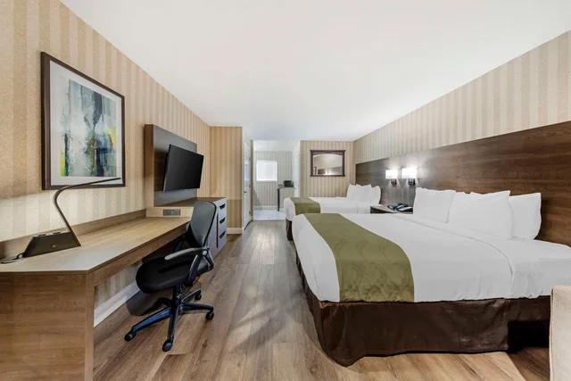جناح بسريرين كوين، Quality Inn Suites Anaheim Maingate 1/4
