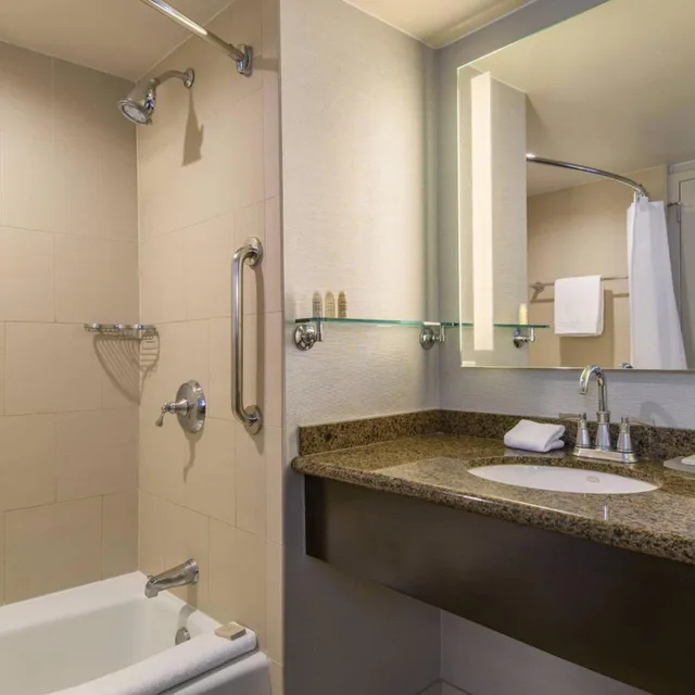 جناح جونيور بسرير كينج بإطلالة على الجبل، Renaissance Palm Springs 3/5