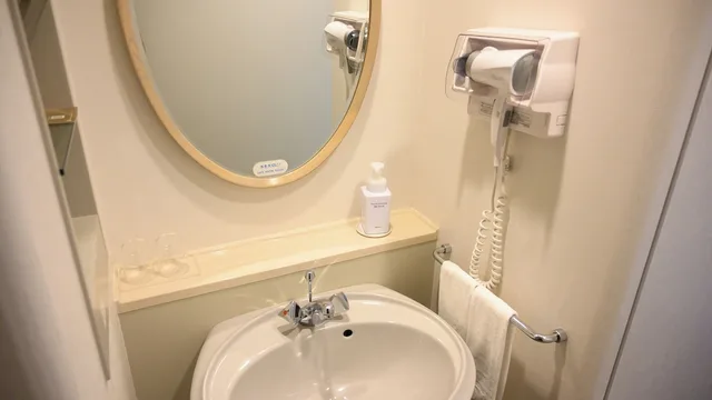 غرفة ديلوكس بسريرين منفصلين بإطلالة على الجبل مع أريكة للمدخنين، Shin Furano Prince Hotel 4/5