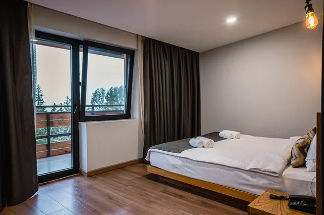 غرفة قياسية بسريرين منفصلين، Bakuriani Inn 3/8