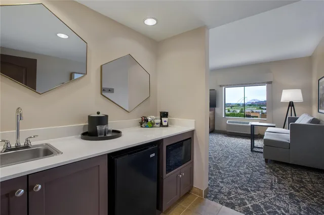 جناح استوديو بسرير كينج مع أريكة، Hampton Inn and Suites Dallas Arlington North Entertainment District 3/3