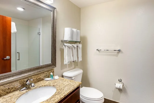 Efficiency, Suite, Queen Bed, Sofa, MainStay Suites Near Denver Downtown 7/10
