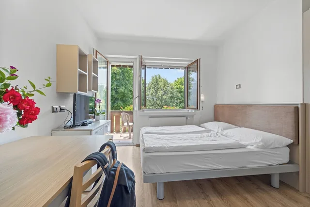 Panoramic, Studio, Double Bed, Valley View, Balcony، Residence Lagorai 3/7