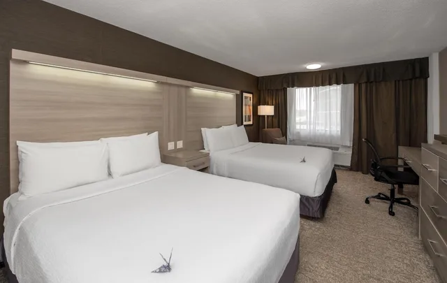 Coast, 2 Queen Beds, Village Park Inn Calgary 2/6