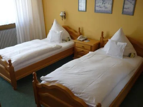 غرفة بسريرين منفصلين، Hotel Alpha 7/10