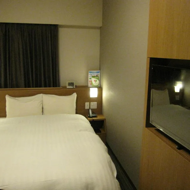 Moderate, Double Bed، Dormy Inn Akihabara 1/9