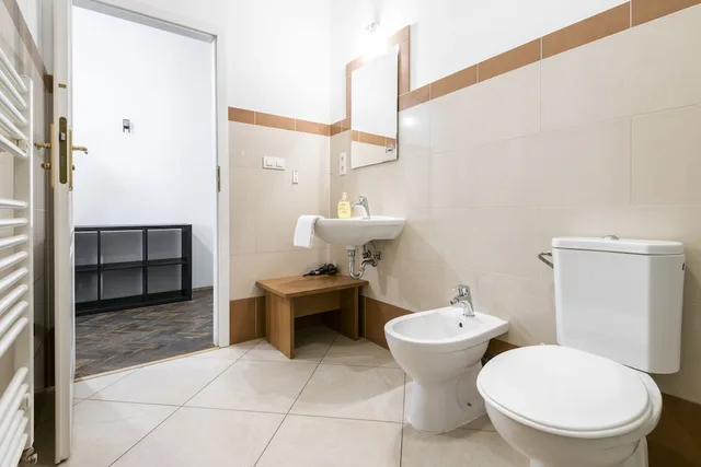شقة بريميير بخمسة أسرّة وسرير بطابقين بغرفتي نوم مع أريكة بمطبخ، Hybernska Apartments 9/10