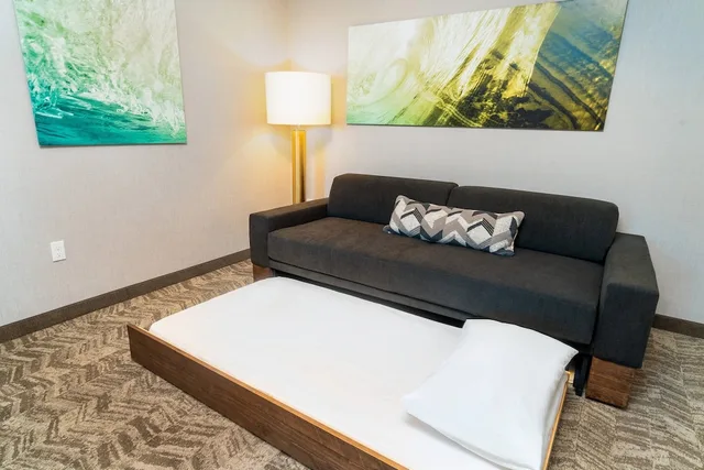 جناح بسريرين كوين مع سرير سحّاب إضافي لذوي الإعاقة، Springhill Suites By Marriott Newark Fremont 4/6