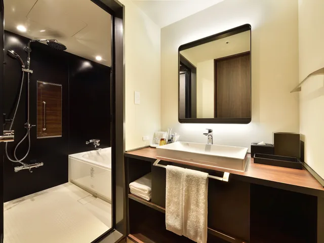 غرفة ديلوكس بسريرين منفصلين، HOTEL ELCIENT OSAKA 5/5