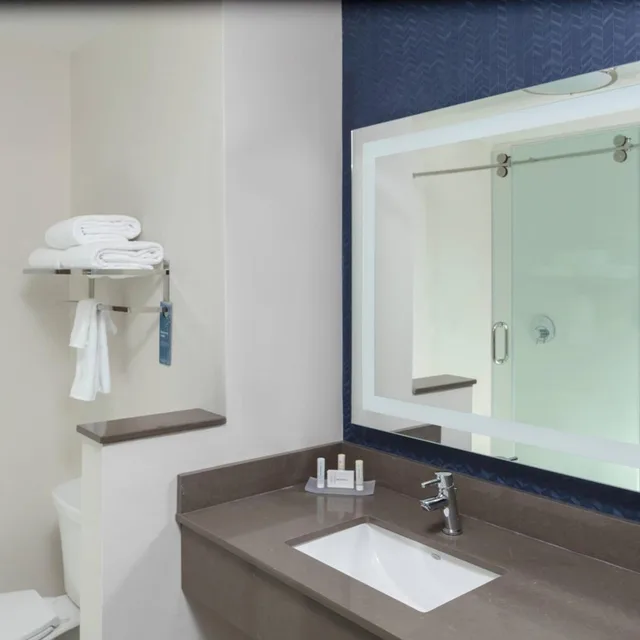 غرفة بسرير كينج بحوض استحمام لذوي الإعاقة، Fairfield Inn and Suites Charlotte Pineville 2/2
