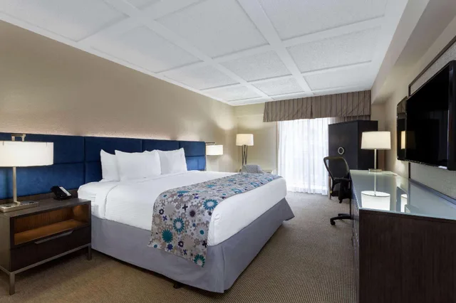 غرفة قياسية، Wyndham Boca Raton 1/1