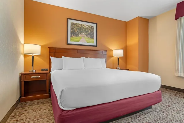 غرفة ديلوكس كبيرة بسرير كينج، DRURY INN AND SUITES BATON ROUGE 2/4
