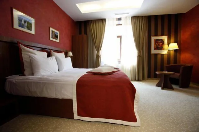 غرفة بزنس مفردة، Hotel Gott 13/16