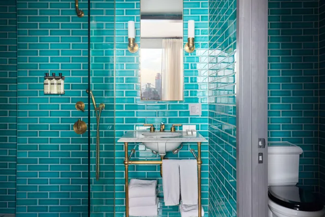 Skyline, Premier, Suite، Arlo Williamsburg 5/7