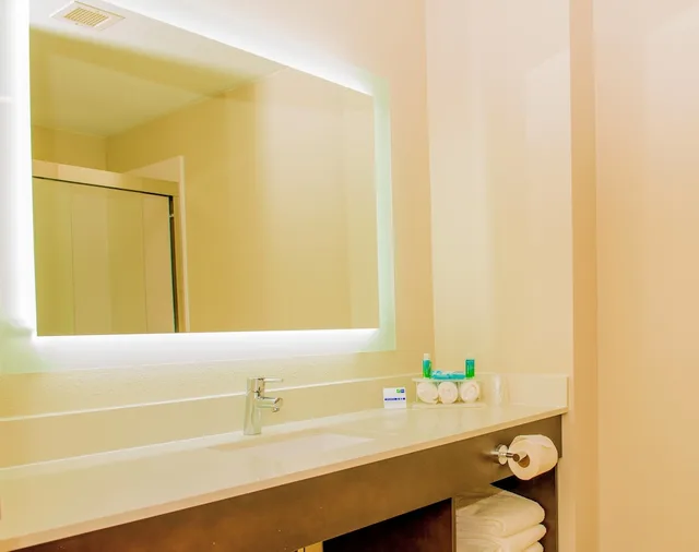 Standard, King Bed, Holiday Inn Express and Suites St. Petersburg North (I-275), an IHG Hotel 7/8