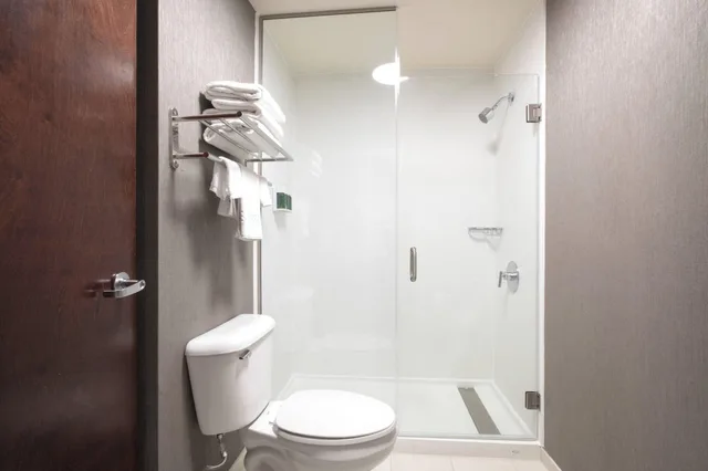 Studio, 2 Queen Beds, Springhill Suites Savannah I-95 South 7/10