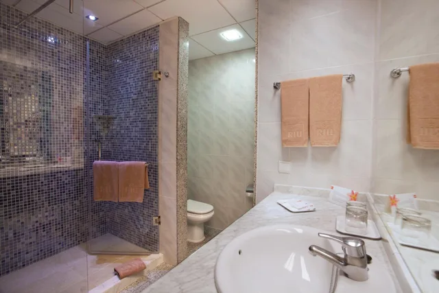 غرفة ديلوكس بسرير مزدوج بإطلالة على البحر، Riu Palace Nautilus - Adults Only 7/7