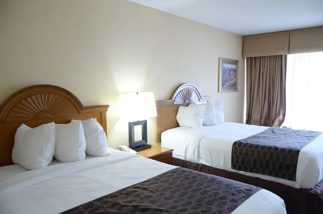 Room, Queen Bed, Accessible, Rodeway Inn Lynchburg, VA 2/5