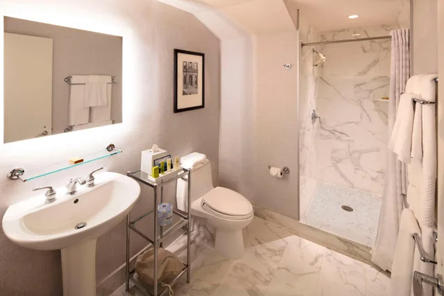 Suite, King Bed, Parlor، Hilton Philadelphia At Penn's Landing 2/2