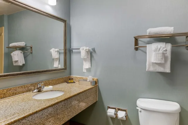 غرفة قياسية بسرير كينج لذوي الإعاقة، Best Western Plus Wasco Inn & Suites 4/6