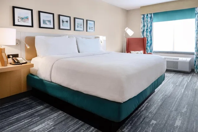 Evolution, King Bed، Hilton Garden Inn Sioux Falls South 2/5