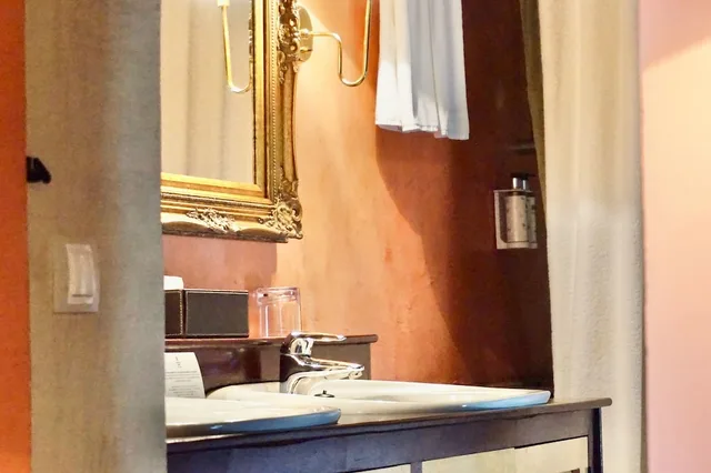 جناح ديلوكس بسرير كينج مع أريكة، Hotel Mas Salvi 3/3