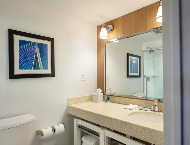 Guest Room, King Bed, Allergy Friendly، Four Points By Sheraton Norwood 6/7