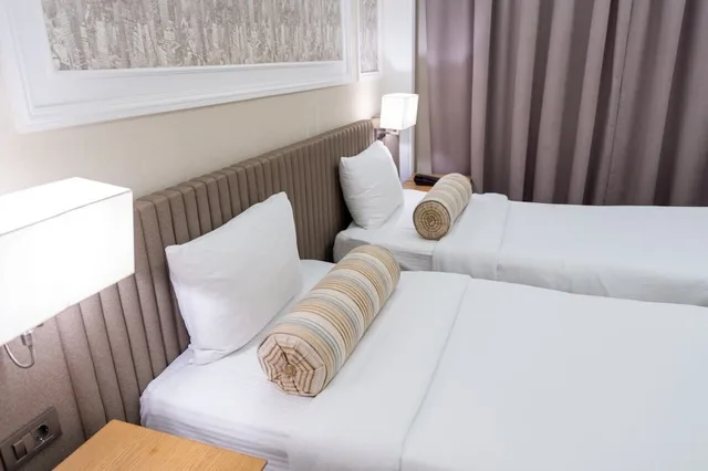 Budget, Queen Bed, No Window، Theatrum Hotel Baku 7/10