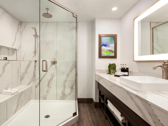جناح بسرير كينج بغرفة نوم واحدة مع أريكة، Buena Vista Suites 3/6