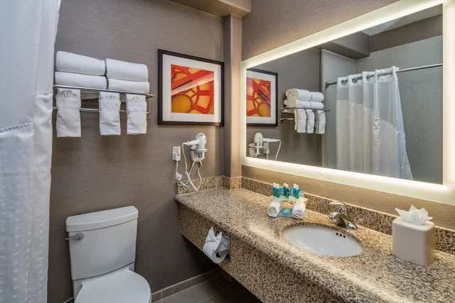 جناح بسرير كينج، Holiday Inn Express Hotel Suites Santa Clara 4/5