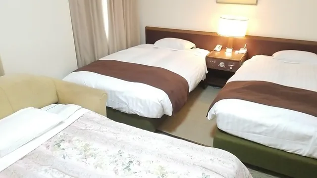Deluxe, Triple, Washing Machine, Smoking، Hotel Grand Terrace Toyama 1/1