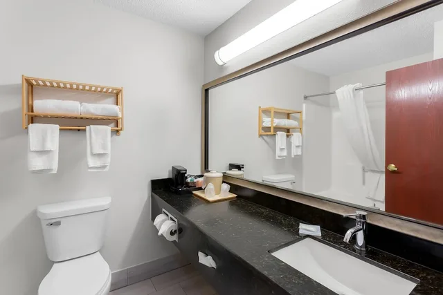غرفة بزنس قياسية بسرير كينج، Quality Inn and Suites Niles 7/9