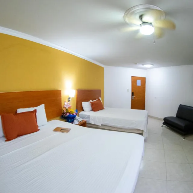 Exclusive, Suite, Hotel Grand River Plaza 4/10