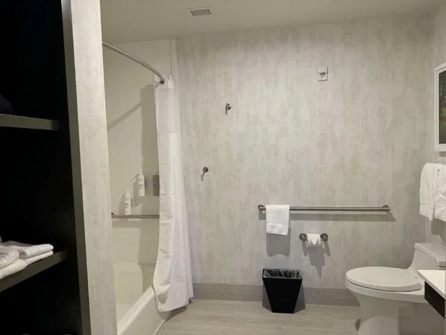 استوديو بسرير كينج مع أريكة لذوي الإعاقة، Hampton Inn Suites Dobson 4/6