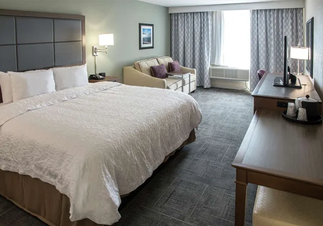 غرفة بسرير كينج مع أريكة لذوي الإعاقة، Hampton Inn Hartwell 2/3